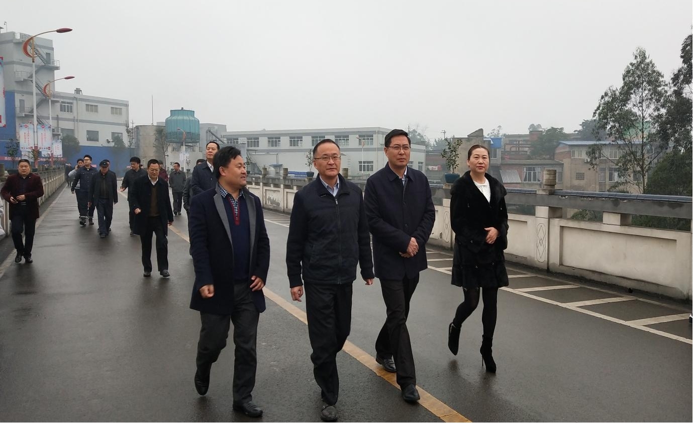 自貢市人大主任譚豹到馳宇公司調(diào)研工作